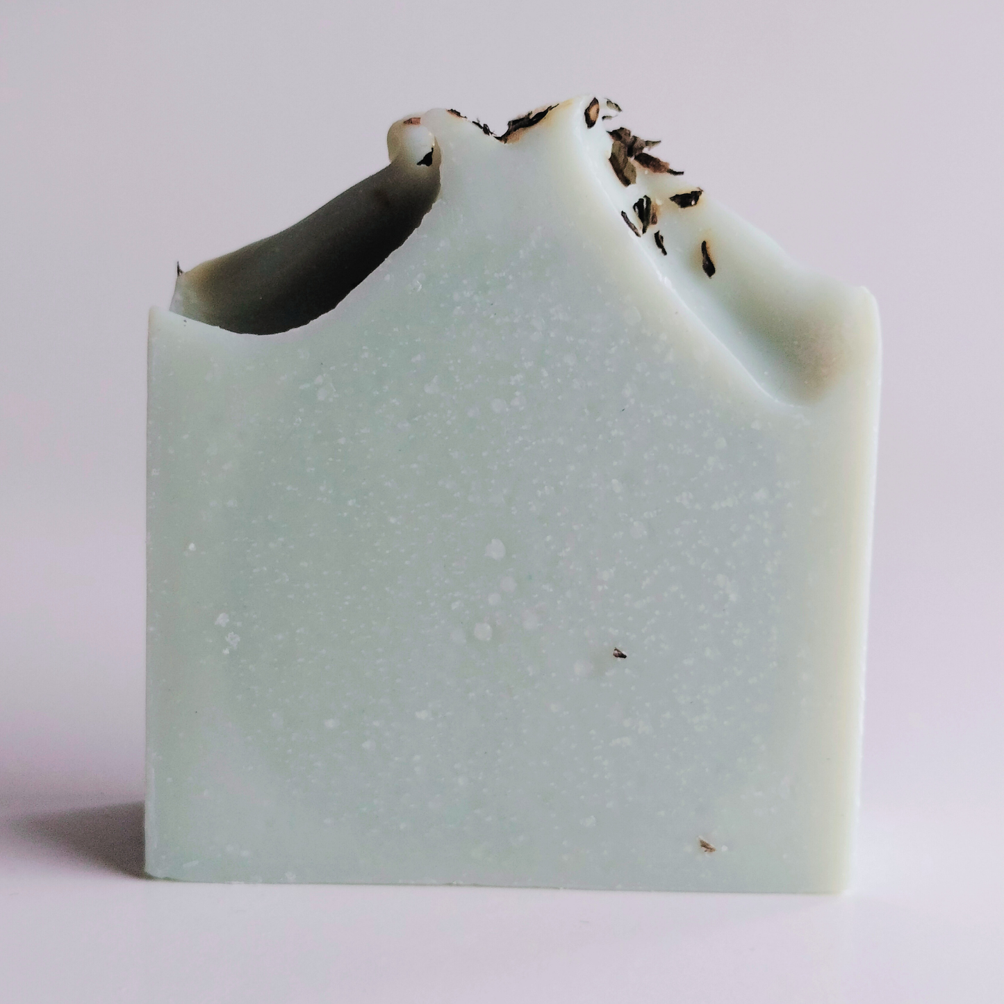 Refresh & Reset- Eucalyptus Mint - Choose this when you need a fresh start- Shop This Mood